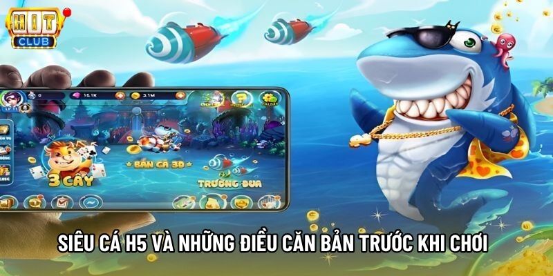 Siêu cá H5 và những điều căn bản trước khi chơi